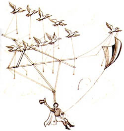 ( Bird man )