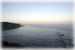 Bluff  Cove
